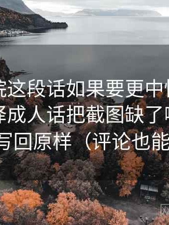 努努影院这段话如果要更中性：先把术语翻译成人话把截图缺了哪些上下文写回原样（评论也能用）